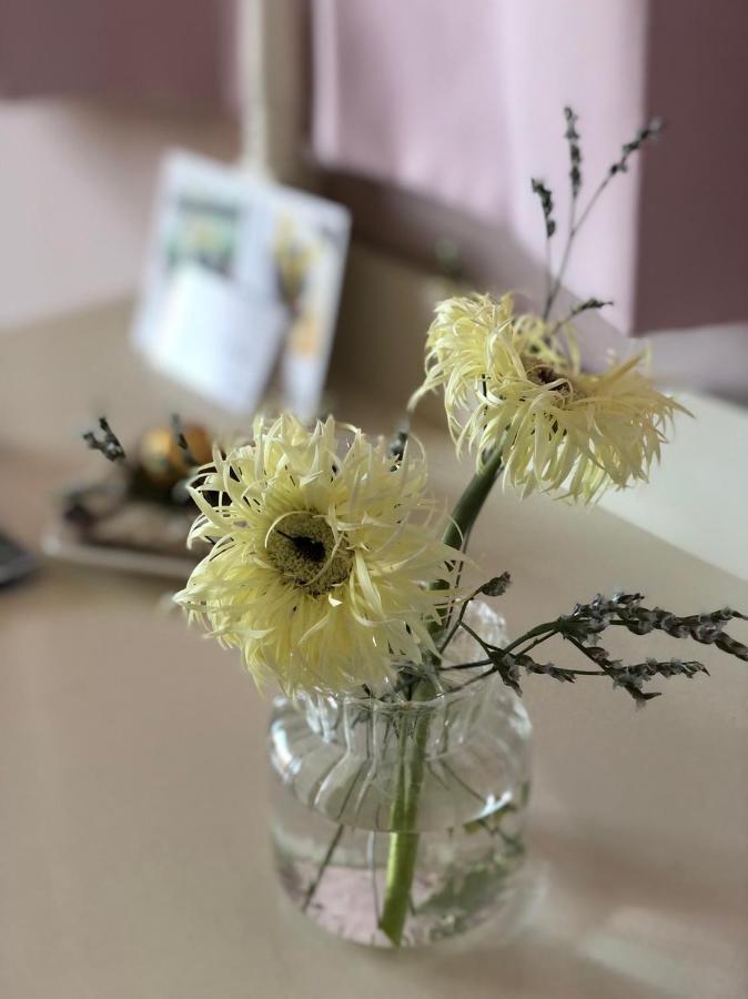 卡布-花藝小民宿 Taitung Floral B&B Exteriör bild